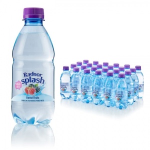 Radnor Splash Sparkling Forest Fruits Bottle 330ml (24 Pack)